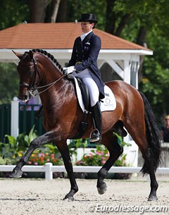 Australian Olympian Lyndal Oatley recently had her top horse Sandro Boy gelded. On this photo the stallion is still intact at competition at the 2012 CDI Compiegne in June :: Photo © Astrid Appels