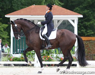 First Grand Prix horse to go today: Tommie Visser's Vingino. 