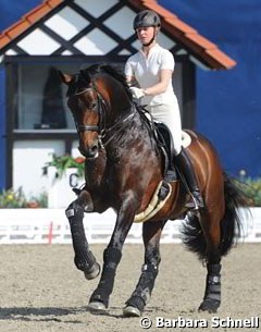 Victoria Max-Theurer competed Eichendorff but brought along Augustin for training at the 2012 CDI Hagen :: Photo © Barbara Schnell