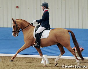 Aimee Witkin and the Danish bred Ferrari win the Pony Individual Test at the 2012 CDN Keysoe :: Photo © Kevin Sparrow
