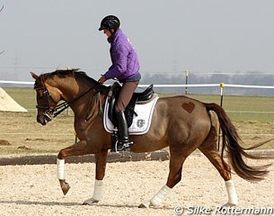 A relaxing canter