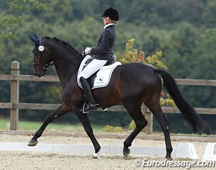 Sophie Wenger-Rossy on the Hanoverian bred Vision (by Toronto x Embassy)
