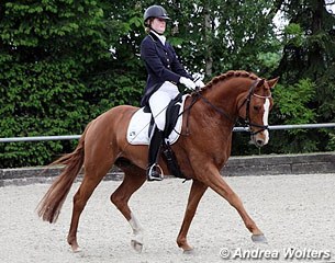 Not competing in the BuCha classes but in L-level test: Stephanie Jansen on Wind of Change (by Weltmeyer x Matcho AA)