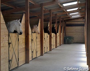The new American style stable building