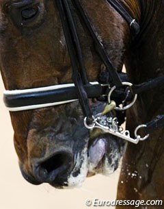 Noseband too tight, curb too low in the mouth, tongue blue from too much pulling. This does not lead to happy athletes.