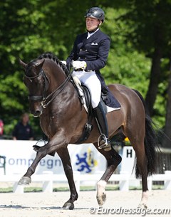 Henri Ruoste and Jojo AZ at the 2013 CDI Compiegne :: Photo © Astrid Appels