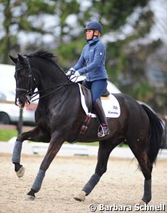 Nadine Capellmann training her new Grand Prix horse Dark Dynamic (by Don Vino)
