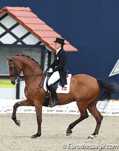 Danish Lisbet Seierskilde on the home bred Raneur. The bay gelding has a tendency to push the neck really high which leads to Seierskilde compromising her seat and hand position. The horse has a wonderful passage though