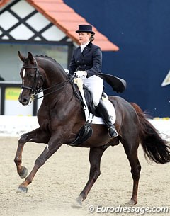 Tanya Seymour on the drop dead gorgeous liver chestnut stallion Ramoneur (by Rohdiamant x Alabaster)