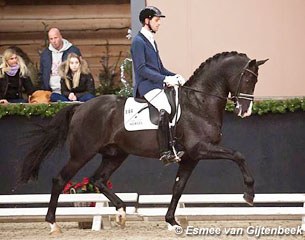 Benjamin Maljaars and Everdale at the 2013 KWPN Stallion Competition leg in Roosendaal :: Photo © Esmee van Gijtenbeek