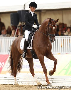 Norwegian Isabel Bache on De Nino (by Don Schufro x Sandro Hit)