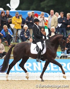 Andreas Helgstrand on the Oldenburg reserve licensing champion Floricello (by Florencio x Dormello)