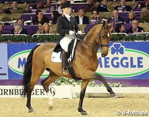 Isabell Werth on Emilio (by Ehrenpreis x Cacir AA). They won the warm up round but dropped to 9th place in the finals. Emilio is out of the same dam line as Bella Rose