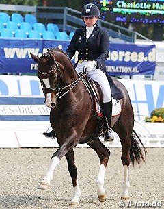 Charlotte Haid-Bondergaard on Don Scudo (by Don Schufro x Escudo)