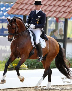Hubertus Schmidt on Florenciano. This Florencio offspring excels in the canter work but is still weak behind in passage with dragging hindlegs and in the piaffe he stays small