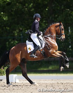 Amandine Prevost struggled to collect her big moving Rhinelander Lacoste (by Lord Sinclair x Weltmeyer), also in the tempi changes