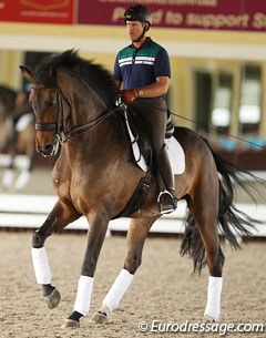 Chris Hickey on his new small tour horse, the gorgeous Danish warmblood gelding Ronaldo (by Romanov x Don Schufro)