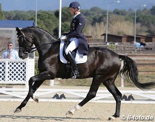 Matthias Rath made his international show come back after a one and a half year break. Here he is riding his developing PSG horse Bretton Woods