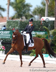 Dutch Danielle Houtvast and the 17-year old Palermo H (by Kigali) were eliminated after the gelding knocked himself in the extended trot and became unlevel