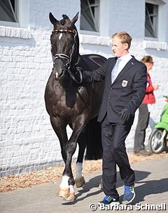Matthias Rath and Totilas at the vet check on Tuesday before the Grand Prix. The horse was considered fit to compete