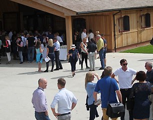 Mount St John Equestrian welcomed a record number of visitors from 8 different countries.