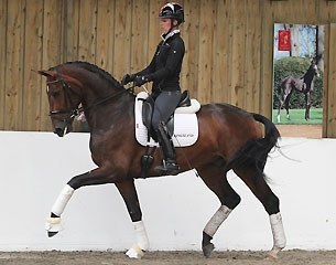 Freestyle by Fidermark x Donnerhall was the first foal Emma purchased and she has very high hopes for this 6-year-old mare in the competent training of Charlotte Dujardin.