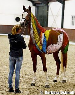 Chloe Casalis de Pury's demo horse