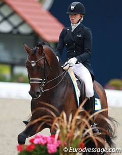 Swedish Rebecca Jern on the Dutch bred stallion Twiligt (by Flemmingh x Sprinter of Marshwood)