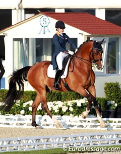 2014 European Young Riders Champion Anne Meulendijks made the transition to Grand Prix level on Avanti (by United)