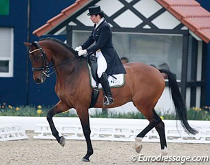 Dutch Jacqueline van Grunsven struggled to sit balanced in the saddle although her horse Zantos (by Sir Sinclair x Havidoff) did his best not to lose the self carriage and be expressive in the movements