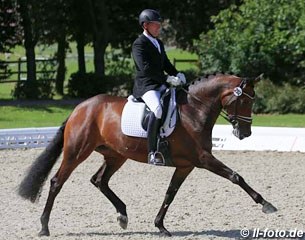Johannes Westendarp on Fame W OLD (by Furstenball x Lauries Crusador xx)