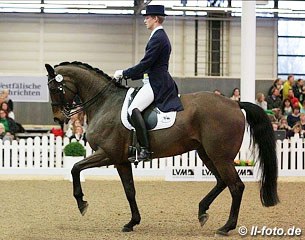 Tobias Nabben on Peppo, a 14-year old Oldenburg stallion by Pik Noir x Noble Roi xx