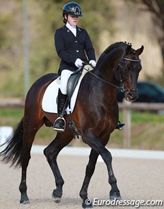 Eugenie Burban on the KWPN licensed stallion Sandreo (by Sandro Hit x Flemmingh)