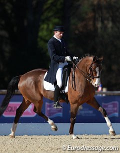 Jean François Combecave on the former French Young Horse champion Django de Charry (by Dancier x Londonderry)