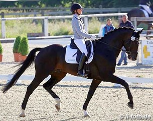 Nicole Casper on Zalando, an Oldenburger stallion by Zack x Sunny Boy