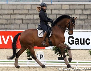 Stefanie Weihermuller on small tour horse C'Est La Vie