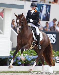 Dana van Lierop on Gunner KS at the 2016 World Young Horse Championships :: Photo © Astrid Appels