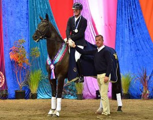 Dr. Ulf Möller of PSI/Hof Kasselmann congratulates Matthew Dowsley on Santiago for becoming Champion of Champions at the 2016 Australian Young Horse Championships :: Photo © Derek O Leary
