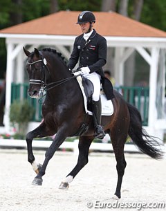 Marc Boblet on the Hanoverian licensing champion Soliman de Hus (by Sandro Hit x Donnerhall)