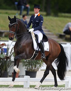Adelinde Cornelissen's home bred Zephyr (by Jazz) has become much more athletic looking and developed into a long legged sport horse but he was not a happy camper in the rein back nor piaffe, in which he severely crossed the front legs. 