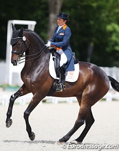 Jeannette Haazen and the Belgian owned Dabanos d'O4 were on stunning best form in Compiegne, where Haazen showed very impressive riding skills keeping the hyper-sensitive Dabanos submissive, relaxed and on the aids