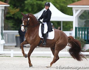 French Emilie Pelican on the 10-year old Hanoverian gelding Sir Diamant (by Don Romantic x Rohdiamant)