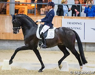 Emmelie Scholtens and Indian Rock at the 2017 KWPN Stallion Competition leg in Ermelo :: Photo © Digishots