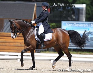 Dindi van den Brink's Rulana is by the same show jumping sire Van Gogh as Sönke Rothenberger's Cosmo