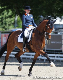 Marieke van der Putten and the very talented Zingaro Apple. Their score got stuck at  67.560% as the horse was too tense and spooky in the test, which resulted in Van Der Putten riding him with the handbrake on