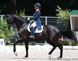 Danielle Hejkoop on the 18-year old Siro. The black gelding could not hide his age nor mileage in several movements, but the rhythm in his piaffe is still excellent