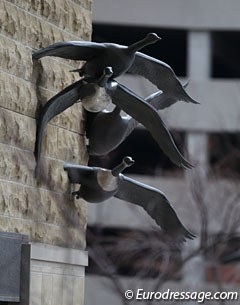These bronze geese are at the corner of the Doubletree hotel