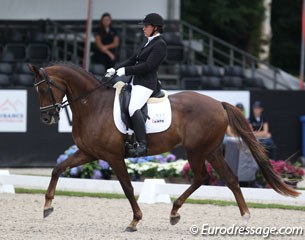 Marije van Kersbergen on Hollywood (by Furst Romancier x Johnson). Lots of knee action and roundness in trot, Hollywood had the hindlegs out in the extensions. Very cute and obedient horse. 