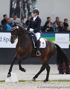 Coached by Dr. Ulf Moller, Czech Hana Vasaryova saddle the Hanoverian bred David du Plessis Belliere (by Dressage Royal x Hochadel). The old fashioned but very obedient horse has a strong, pushing hindleg