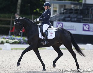 Amy Woodhead on Mount St John Zonetta (by Zonik x Riccione). The black mare was only at her fourth show in her life and looked quite inexperienced, even though she coped well with the electric atmosphere
